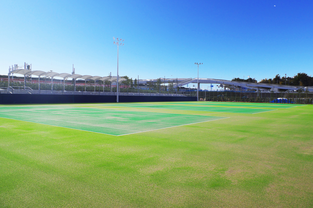 テニスコート 施設案内 柳島スポーツ公園